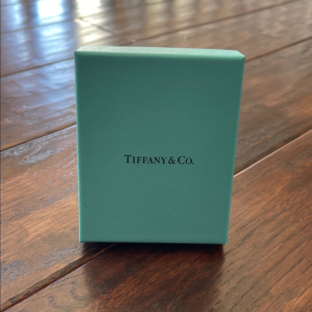 Tiffany Shopping Bag, Jewelry Bag, Blue Box & Envelope - NWT - Picture 7 of 11